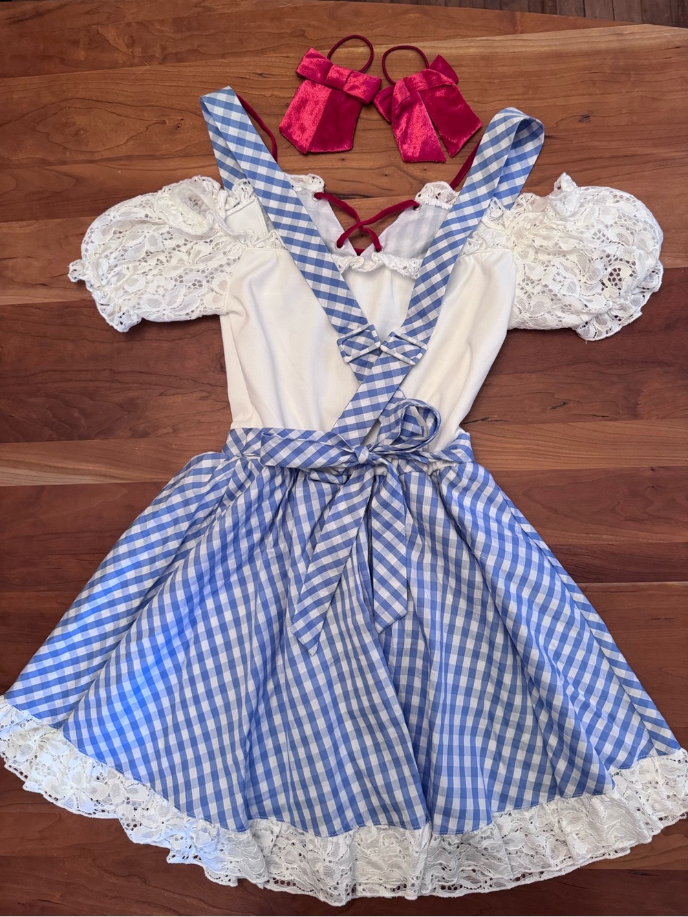 Dorthy Halloween Costume - Picture 4 of 5
